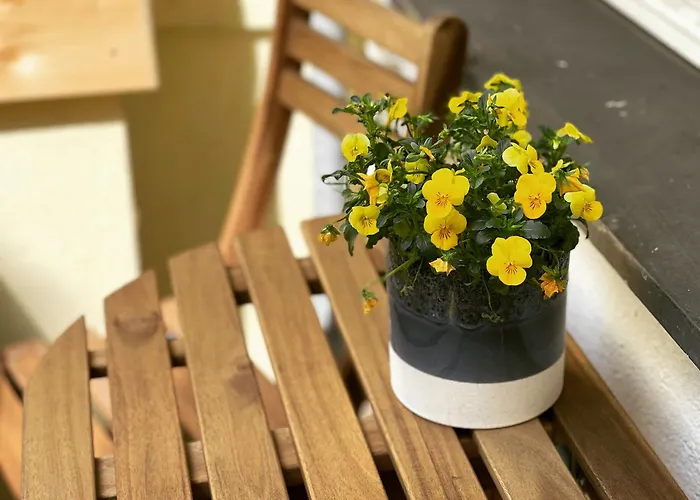 Apartamento 33 Efg Schoenhauser Allee Mit Balkon *